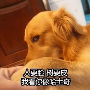 WeChatd7e3f5558f95f7f5a70620a80d94a0ab.png